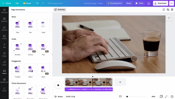 Canva Video.