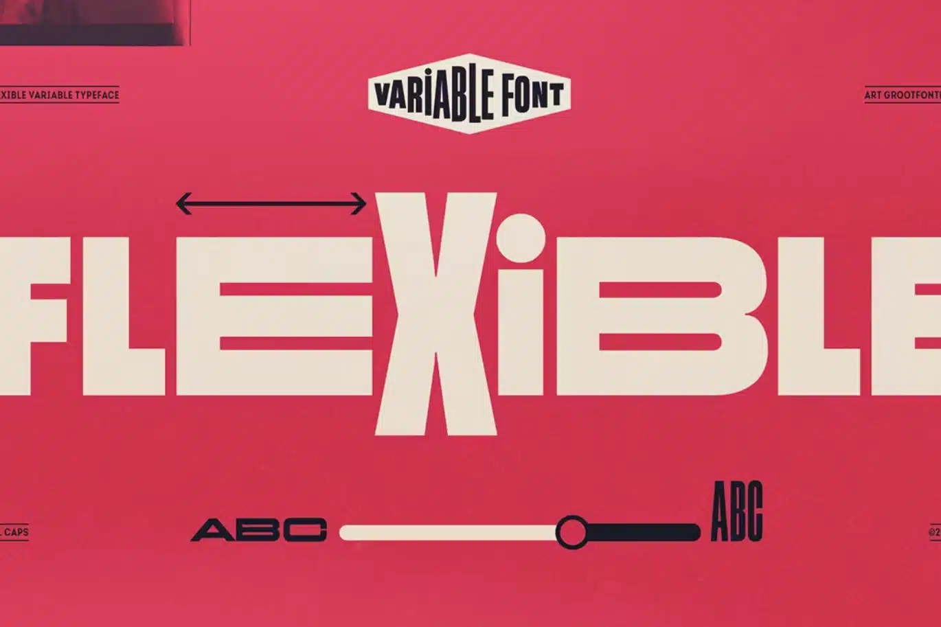 Flexible Variable
