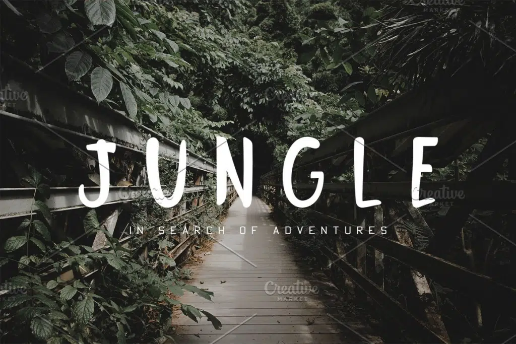 Jungle Display Font