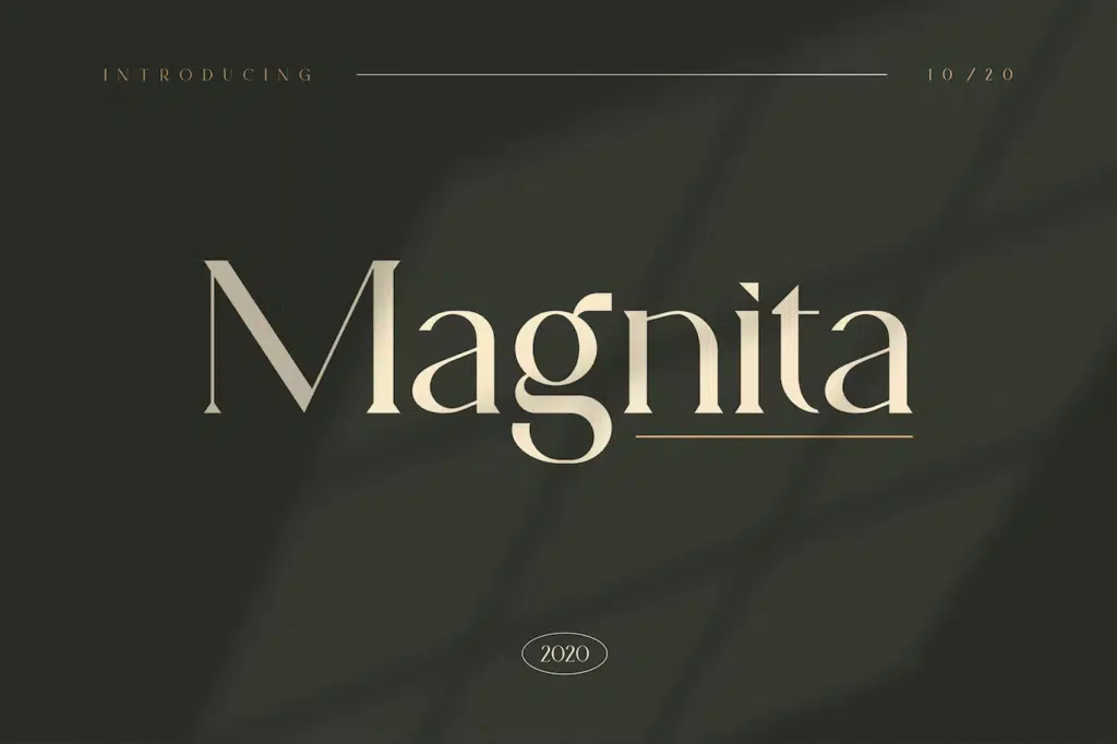 Magnita serif font