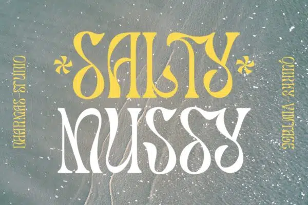 Salty Mussy - Quirky Twisted Display